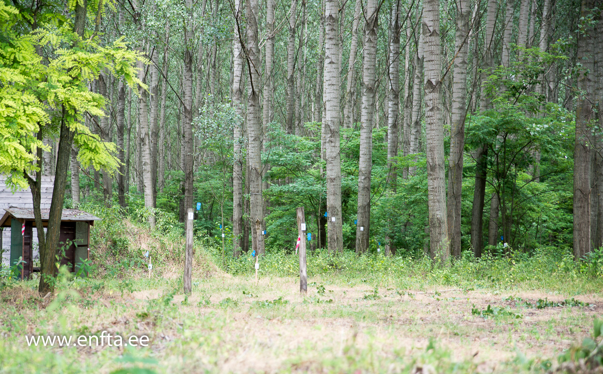 Practice area with training targets